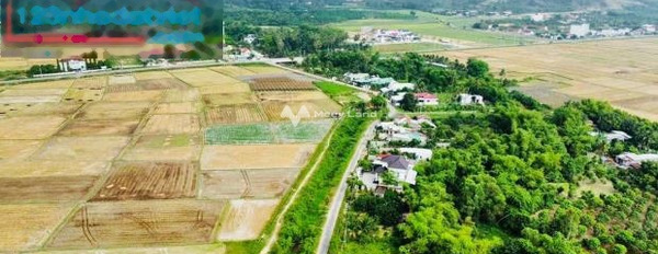 Ngay Suối Tiên, Khánh Hòa bán đất 2.99 tỷ, hướng Nam diện tích vừa phải 725m2-02