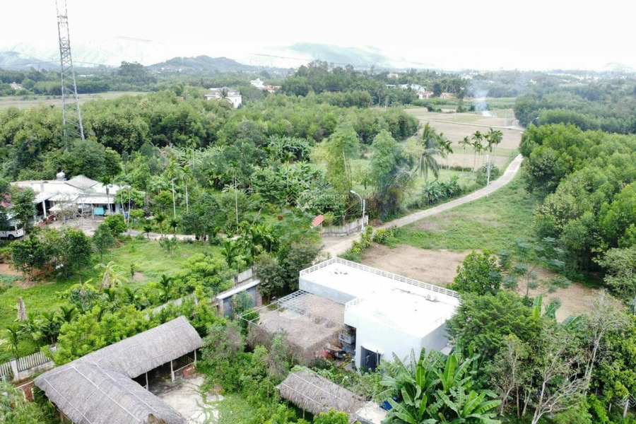 Cần gấp bán mảnh đất, 1600m2 giá thỏa thuận từ 3 tỷ vị trí đặt vị trí nằm ở Hòa Nhơn, Hòa Vang lh thương lượng thêm-01