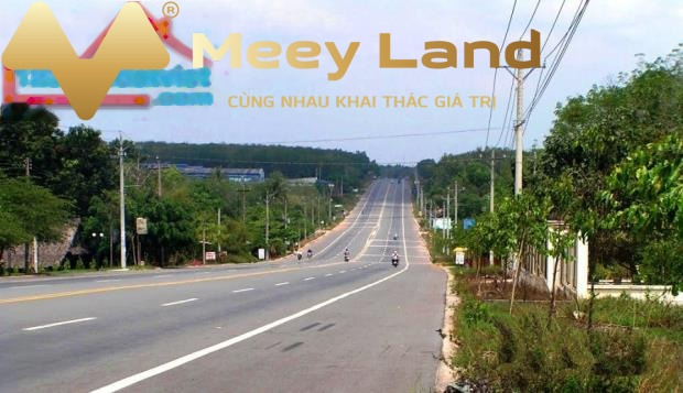 Giá bán tốt chỉ 450 triệu bán cửa hàng dt 300 m2 vị trí nằm tại Lộc Thịnh, Bình Phước, với lộ nhựa ngang 8 mét thuận tiện di chuyển-01