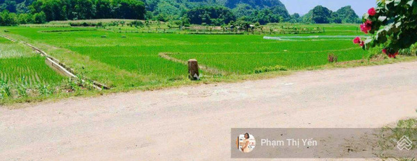 Hơn 600m2 - 450m2 TC mặt đường nhựa liên xã: 12m - view cánh đồng giá rẻ tại Thanh Sơn - Lương Sơn -02