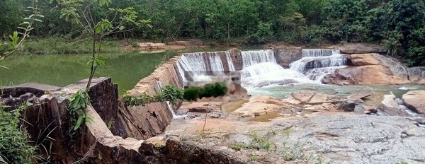 Ngay Tam Lãnh, Phú Ninh bán đất 1.4 tỷ diện tích chung quy 50000m2-02