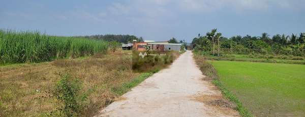 Vị trí cực kì thuận lợi ngay tại Phước Thạnh, Tây Ninh bán đất, giá bán đề cử 540 triệu diện tích thực khoảng 134m2-03