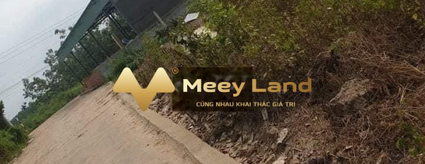Bán đất 780 triệu Phường Tân Thiện, Tỉnh Bình Phước dt quy đổi 168 m2-03
