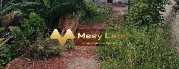 Xã Tiên Lục, Tỉnh Bắc Giang 650 triệu bán đất dt là 100 m2-03