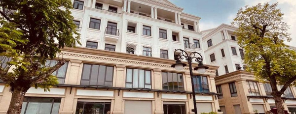 Bán shophouse giá 10,8 tỷ, diện tích 114,1m2 vị trí cực kì thuận lợi ngay tại Gia Lâm, Hà Nội-02