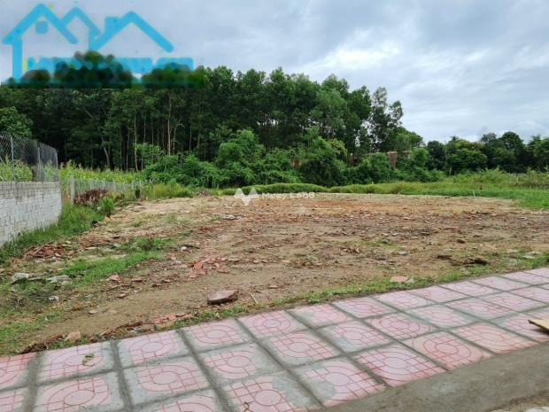 Cực sốc bán mảnh đất, 215m2 giá cực mềm 295 triệu vị trí tại Triệu Sơn, Thanh Hóa liên hệ liền-01