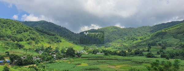 Cao Phong, Cao Phong bán đất giá cực tốt từ 3.3 tỷ có diện tích rộng 9400m2-02