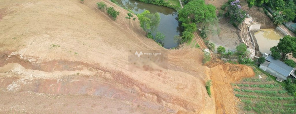 Vị trí mặt tiền tọa lạc ngay Liên Sơn, Lương Sơn bán đất giá bán khoảng 15 tỷ với diện tích khoảng 8214m2-02