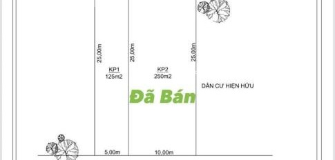 Cần xoay sở tiền trả nợ bán đất Phò Trạch, Phong Điền giá cực mềm từ 480 triệu có một diện tích 125m2-02