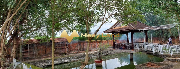 Cần chia tài sản bán mảnh đất, 2578m2 giá chốt nhanh từ 27 tỷ vị trí mặt tiền tại Xã Phước An, Huyện Nhơn Trạch giá siêu rẻ-03