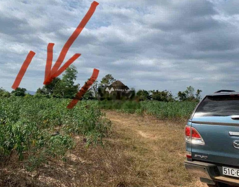 Giá bất ngờ 600 triệu bán đất có diện tích gồm 1041m2 vị trí đặt ngay trung tâm Xuân Lộc, Đồng Nai-01