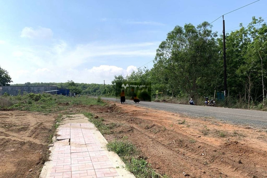 395 triệu bán đất có diện tích chung là 200m2 vị trí đẹp nằm ngay Tân Khai, Bình Phước-01