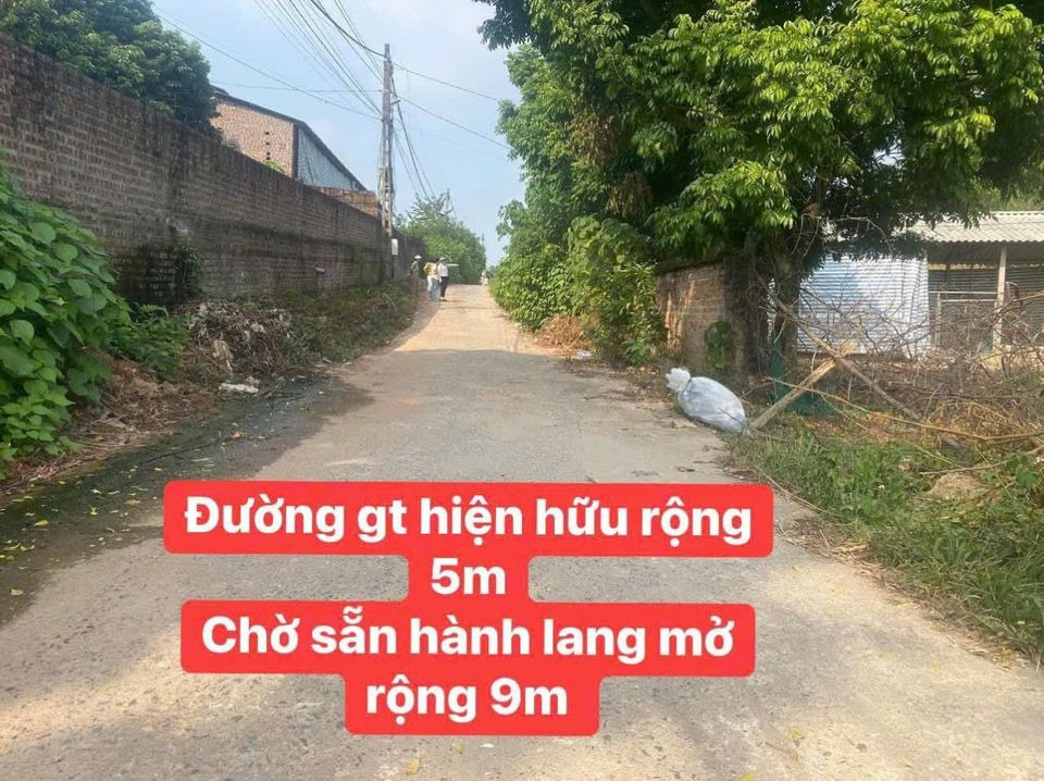 Bán đất huyện Tam Dương tỉnh Vĩnh Phúc giá 100.0 triệu-0