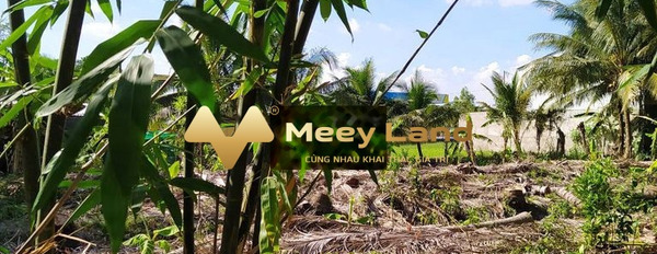 Ngay Đường Tỉnh Lộ 907, Tỉnh Vĩnh Long bán đất 699 triệu dt là 140 m2-02