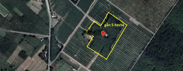 Bán đất xã Phú Mỹ Hưng Củ Chi, cách đường Phú Thuận 300m, 4.75 hecta phù hợp trang trại, kho xưởng -02