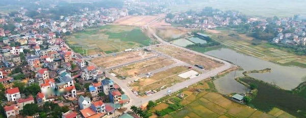 Quốc Lộ 31, Lạng Giang bán đất diện tích rộng 110m2-03