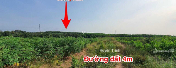 Tọa lạc ngay ở Thắng Hải, Bình Thuận bán đất, giá bán phải chăng chỉ 5.2 tỷ, hướng Tây Có tổng diện tích 13000m2-02