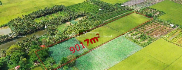Giá bán đề cử chỉ 200 triệu bán đất diện tích đúng với trên ảnh 9017m2 vị trí đặt tại Châu Phú, An Giang-02