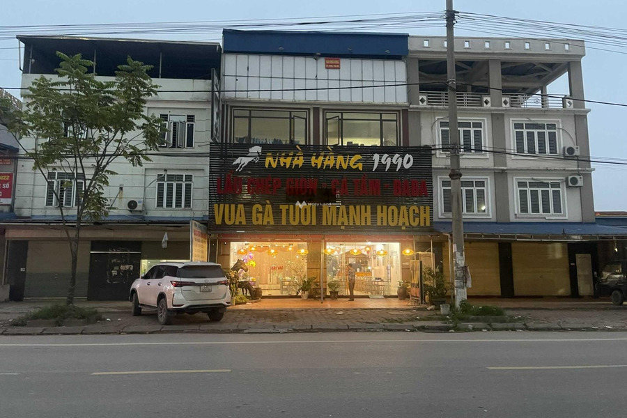 Bán nhà vị trí mặt tiền tọa lạc trên Trần Nguyên Hãn, Phổ Yên bán ngay với giá tốt 9.3 tỷ diện tích gồm 205m2-01