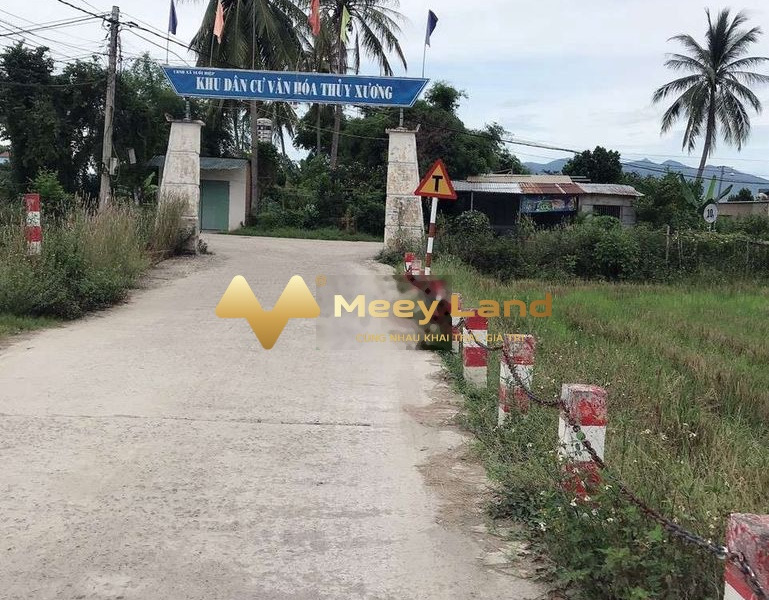 Bán đất giá 380 triệu tại huyện Diên Khánh, tỉnh Khánh Hòa-01