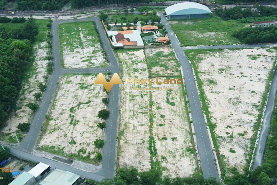 Vị trí đặt ngay trung tâm Đường An Phước, Huyện Long Thành bán đất giá khủng chỉ 1.6 tỷ diện tích rộng là 100m2-01