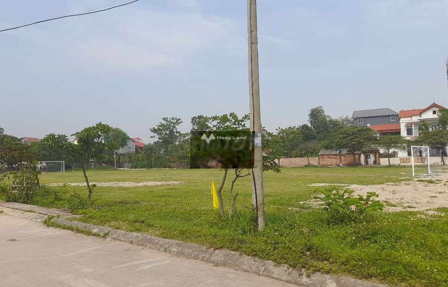 Vị trí thuận lợi nằm tại Sóc Sơn, Hà Nội bán đất, giá cơ bản từ 2.31 tỷ có diện tích tổng 87m2-01