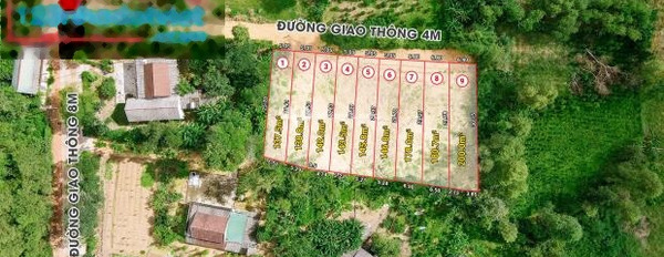 Hải Lâm, Quảng Trị 356 triệu bán đất có diện tích rộng 178m2-02