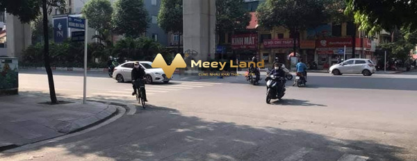 Bán nhà vị trí mặt tiền nằm ngay Đường Hoàng Hoa Thám, Phường Quang Trung giá thị trường 10.8 tỷ diện tích chuẩn 75 m2-02