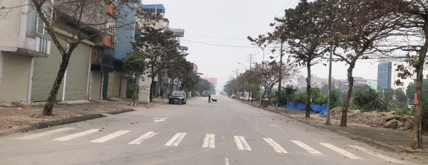 Cần bán gấp lô áp góc hướng Đông Bắc mặt đường 22m khu tái định cư Trâu Qùy, Gia Lâm-03