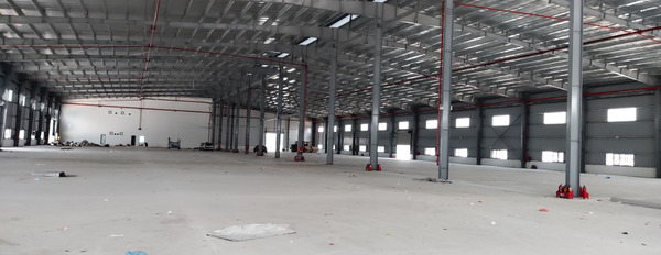 Cho thuê đất,      kho nhà xưởng tại Long Biên, diện tích 5.000m2 - 20.000m2-02