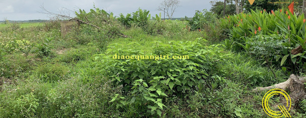Đất nền giá rẻ - Hải Hưng, Hải Lăng Quảng Trị, giá chỉ 390 triệu-03