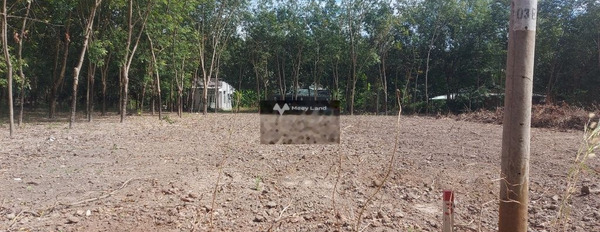 Chủ gửi lô đất ở Thị Xã Chơn Thành, mặt tiền nhựa 8m sổ sẵn -03