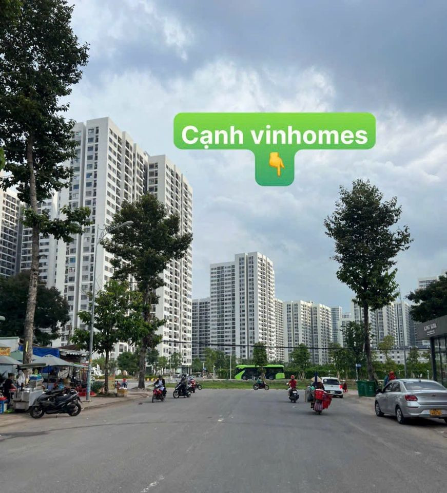 Bán đất quận 6 thành phố Hồ Chí Minh giá 2.75 tỷ-1