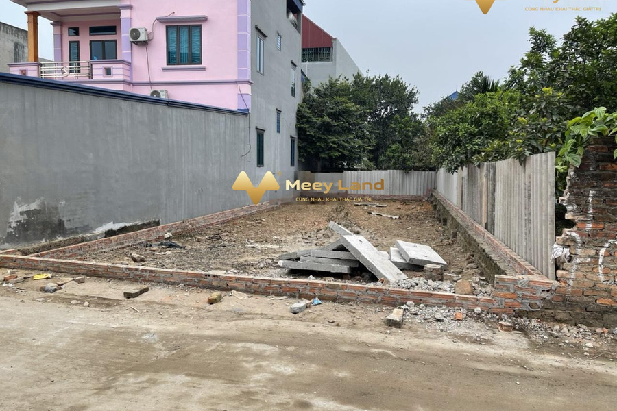 Đường Nhạn, Hà Nội bán đất diện tích chung 148 m2-01