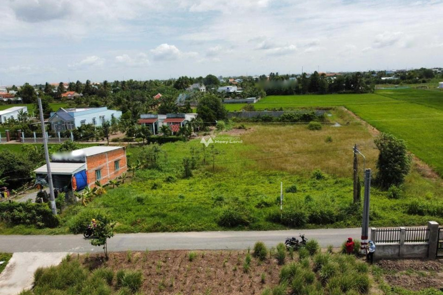 Cần bán gấp bán nhanh đất dự án 3516m2 tại huyện Cần Giuộc, Long An, giá 8,44 tỷ-01