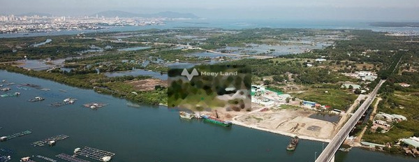 Long Sơn, Vũng Tàu bán đất giá cạnh tranh 7.2 tỷ, hướng Nam có diện tích gồm 6000m2-03