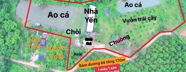 Định Quán, Đồng Nai 6.19 tỷ bán đất có diện tích 10882m2-02