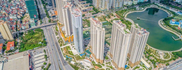 Bán căn hộ cư Vinhomes D'Capitale 119 Trần Duy Hưng, Cầu Giấy, Hà Nội-02