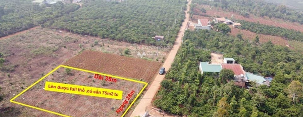 Ở Di Linh, Lâm Đồng bán đất 450 triệu diện tích vừa phải 300m2-02