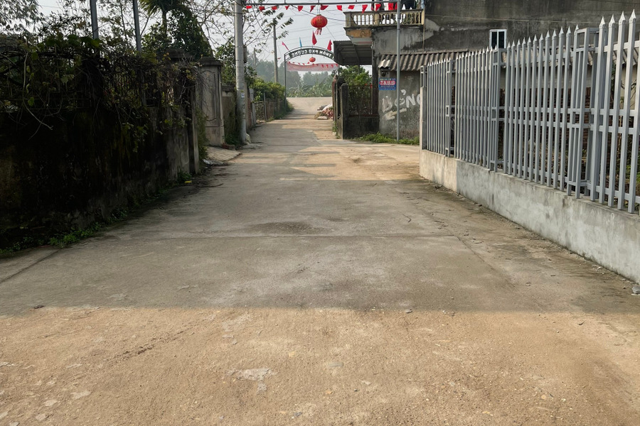 Chính chủ cần bán mảnh đất hoa hậu tại Phú Cường, Minh Phú, Sóc Sơn, Hà Nội-01
