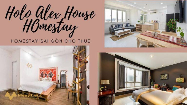 Cho thuê Holo Alex House – Homestay Sài Gòn