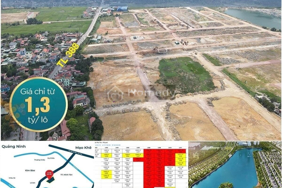 Bán đất phía trong Tỉnh Lộ 388, Kinh Môn. Diện tích 90m2, giá 1,44 tỷ-01