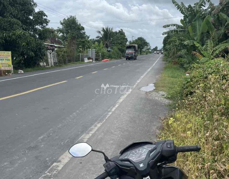 Đang làm ăn lớn bán đất Chợ Mới, An Giang giá phải chăng từ 900 triệu có diện tích sàn 120m2-01