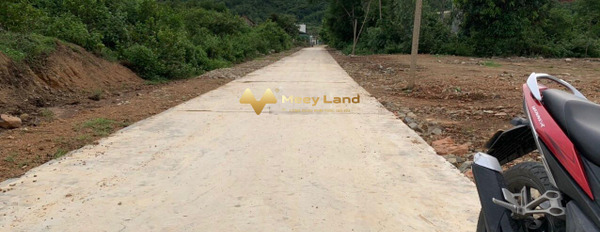 Vị trí nằm ngay Phường Ninh Đa, Thị Xã Ninh Hòa bán đất giá bán đặc biệt từ 5.7 tỷ dt chính là 7600 m2-02