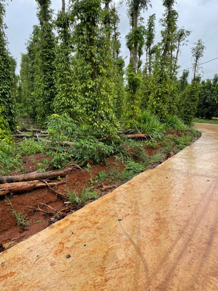 Bán nhà riêng huyện Long Thành tỉnh Đồng Nai giá 2.1 tỷ-0