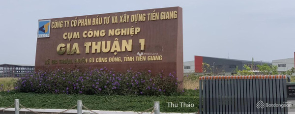Gia Thuận, Gò Công Đông 590 triệu bán đất với diện tích khoảng 100m2-03