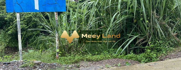 2.89 tỷ bán đất có dt trung bình 2887 m2 ngay ở Đường Liên Xã, Huyện Lương Sơn-03