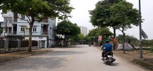 Bán đất vị trí mặt tiền tọa lạc ngay tại đường Cửu Việt 1, Hà Nội-02