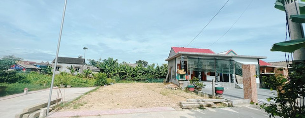 Cần bán đất huyện Quảng Điền tỉnh Thừa Thiên Huế giá 295 triệu-03