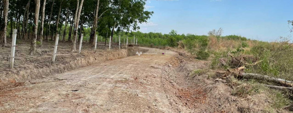 Giá hữu nghị từ 599 triệu bán đất có diện tích 7600m2 nằm ở Xuân Bắc, Xuân Lộc-03